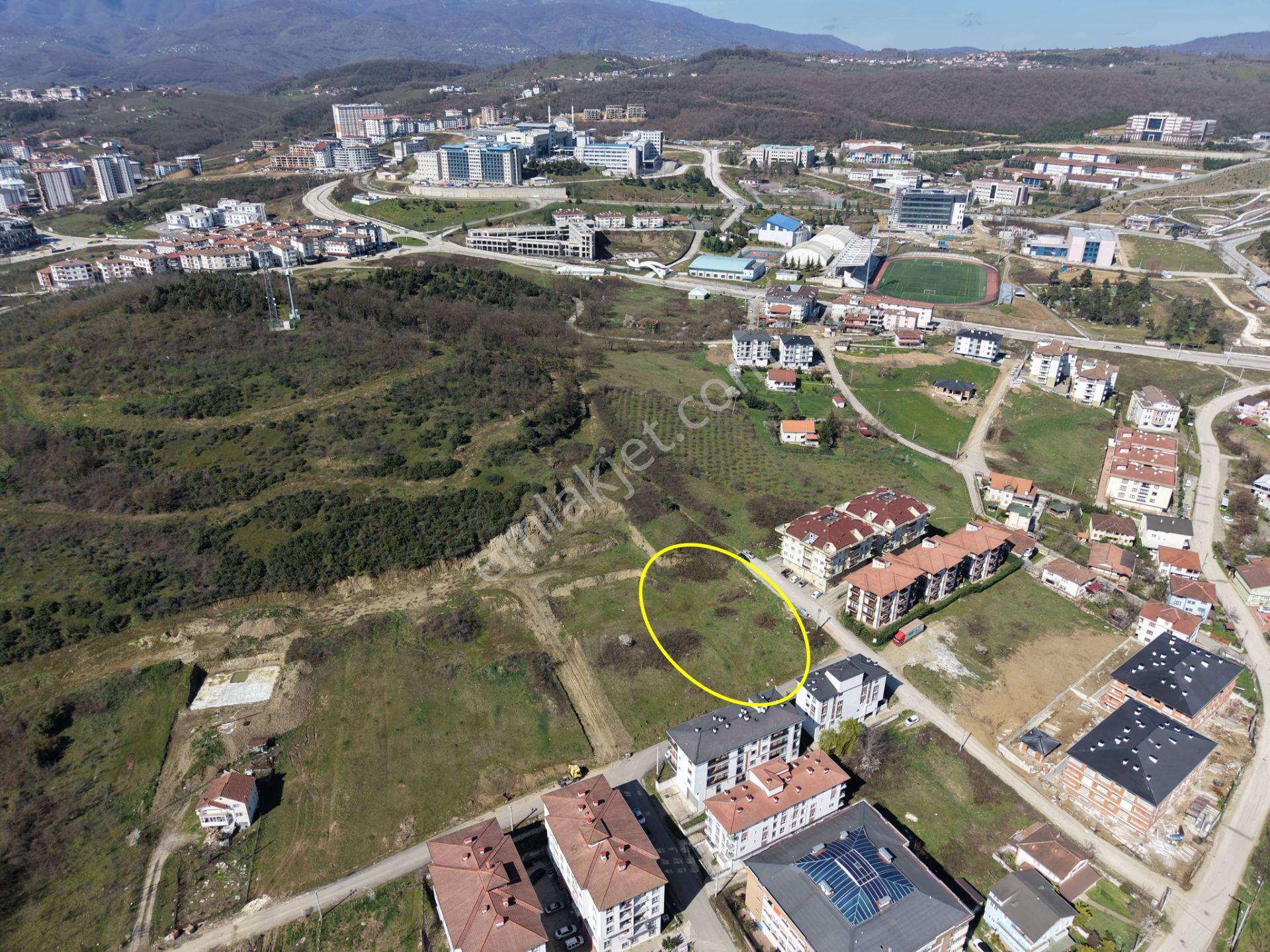 Konuralp Üniversite Yerleşkesi'nde 1564 M2 Satılık Arsa - Görsel 2