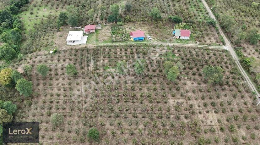 Lerox Uçardan Sakarlı Mahallesinde Satılık Müstakil Tarla - Görsel 5