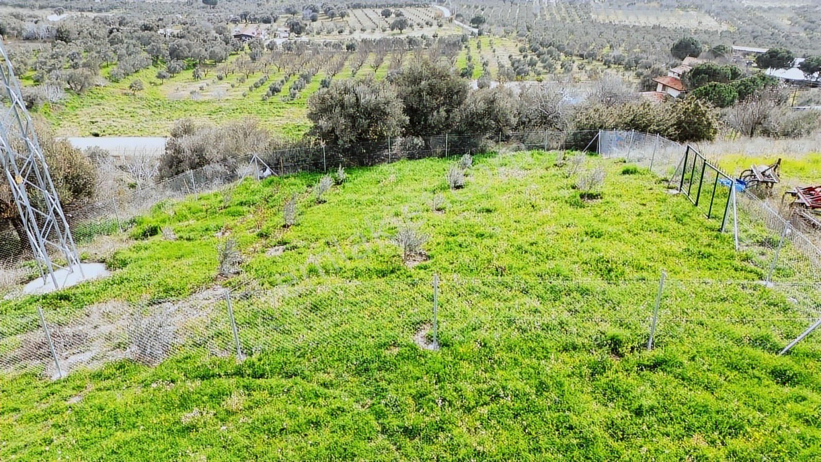 Torbalı Saipler'de Köyiçi İmar Dibinde Satılık 545 M² Tarla - Görsel 3