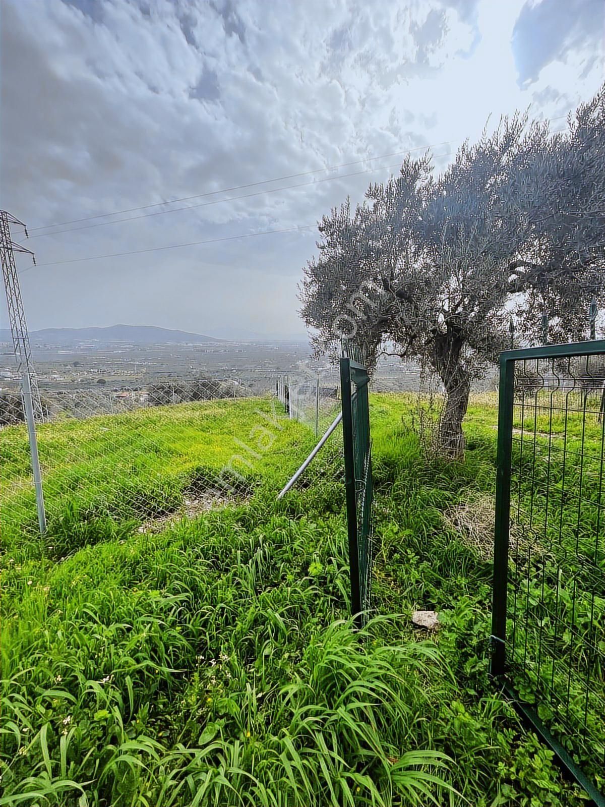 Torbalı Saipler'de Köyiçi İmar Dibinde Satılık 545 M² Tarla - Görsel 15