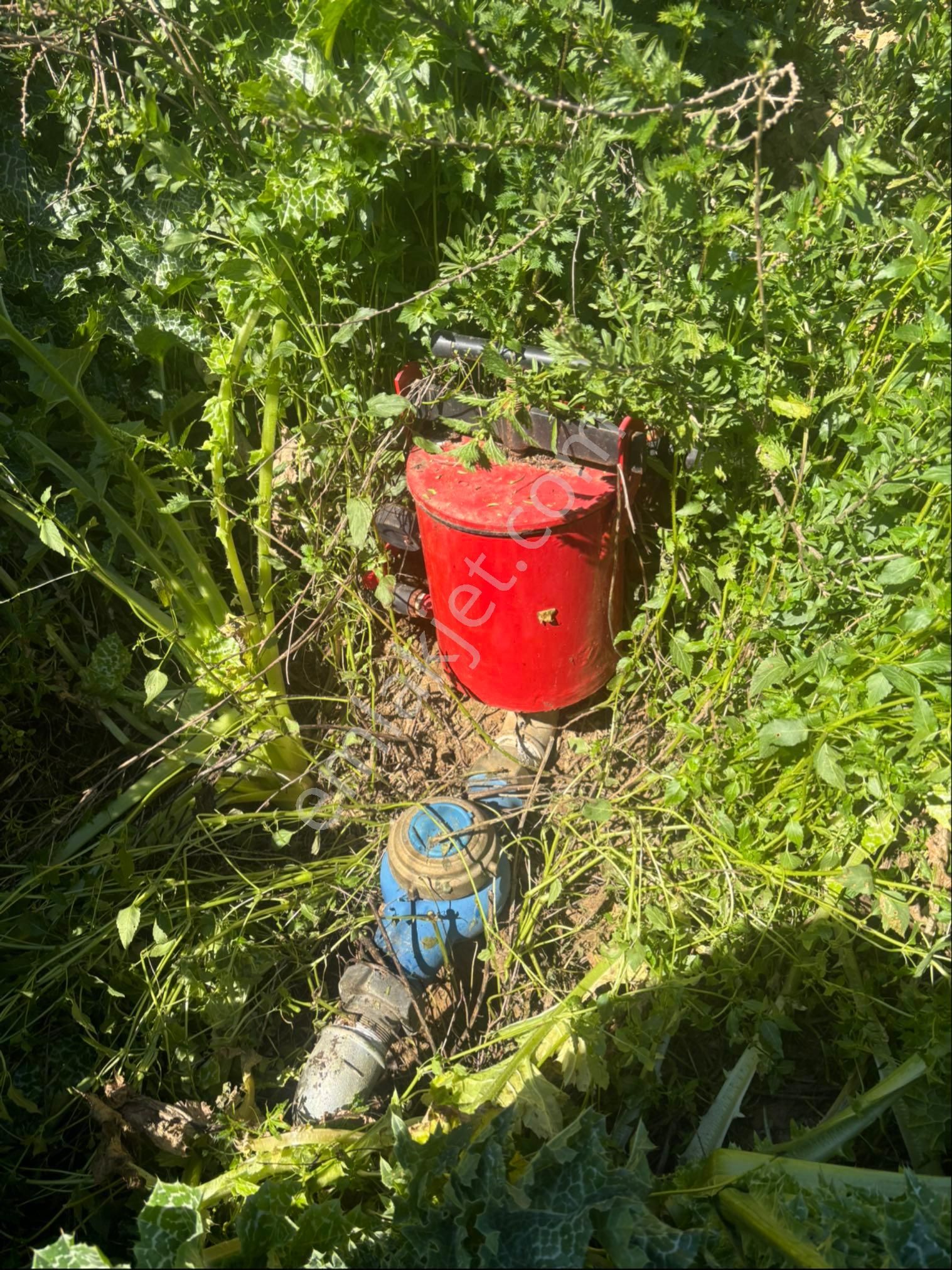 Sezgin Emlak Dan Satılık Zeytinlik Ve Kayısı Bahçesi - Görsel 16