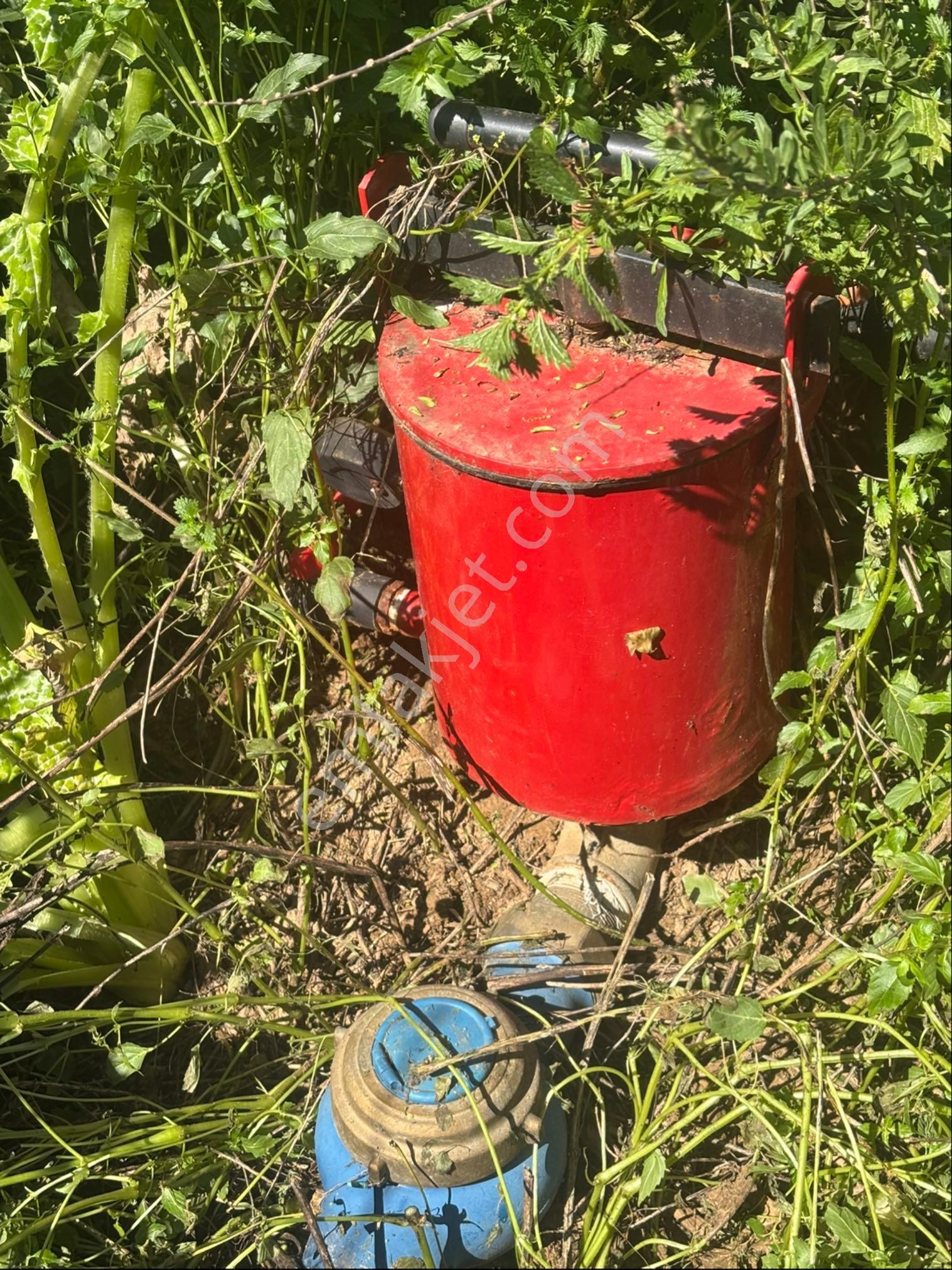 Sezgin Emlak Dan Satılık Zeytinlik Ve Kayısı Bahçesi - Görsel 15