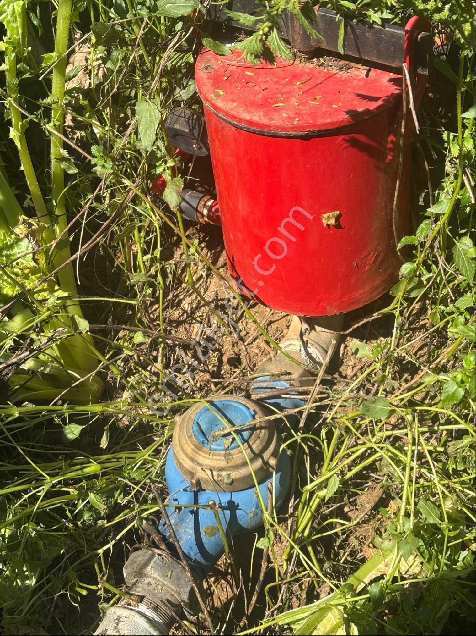 Sezgin Emlak Dan Satılık Zeytinlik Ve Kayısı Bahçesi - Görsel 17