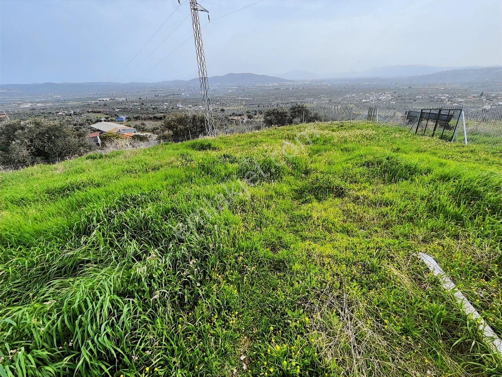Torbalı Saipler'de Evi Olan Köyiçi İmarlı Satılık 467 M² Arsa - Görsel 12
