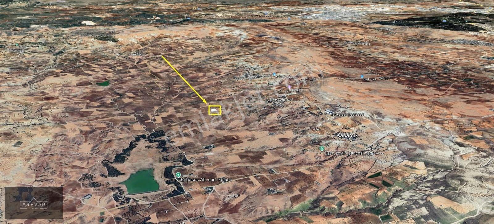 Kaleboynu'nda Satılık Gölet Manzaralı Zeytinli Arazi Yolu Var - Görsel 3