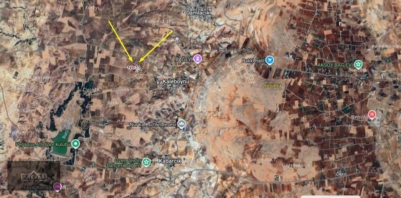 Kaleboynu'nda Satılık Gölet Manzaralı Zeytinli Arazi Yolu Var - Görsel 7