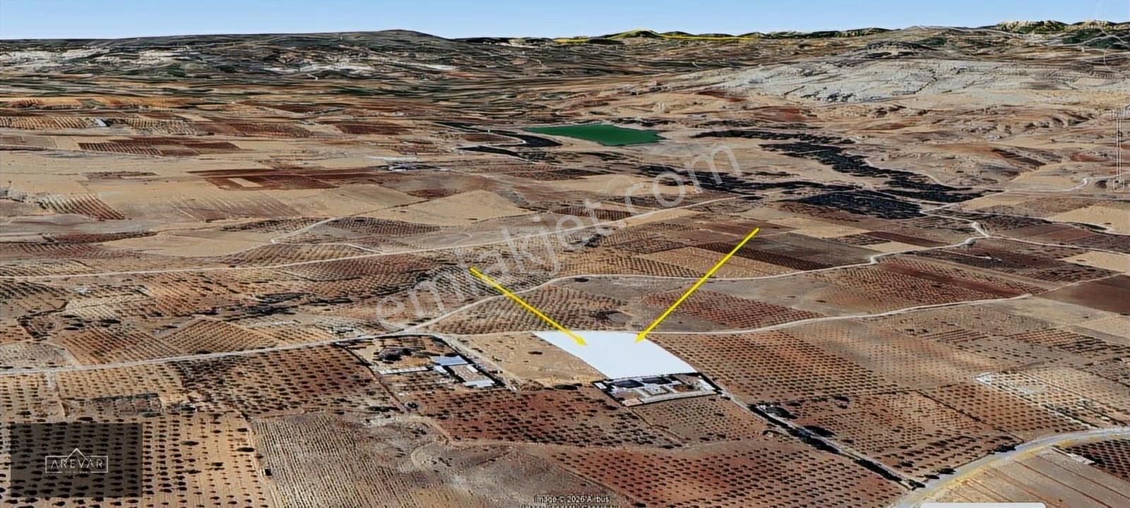 Kaleboynu'nda Satılık Gölet Manzaralı Zeytinli Arazi Yolu Var - Görsel 2