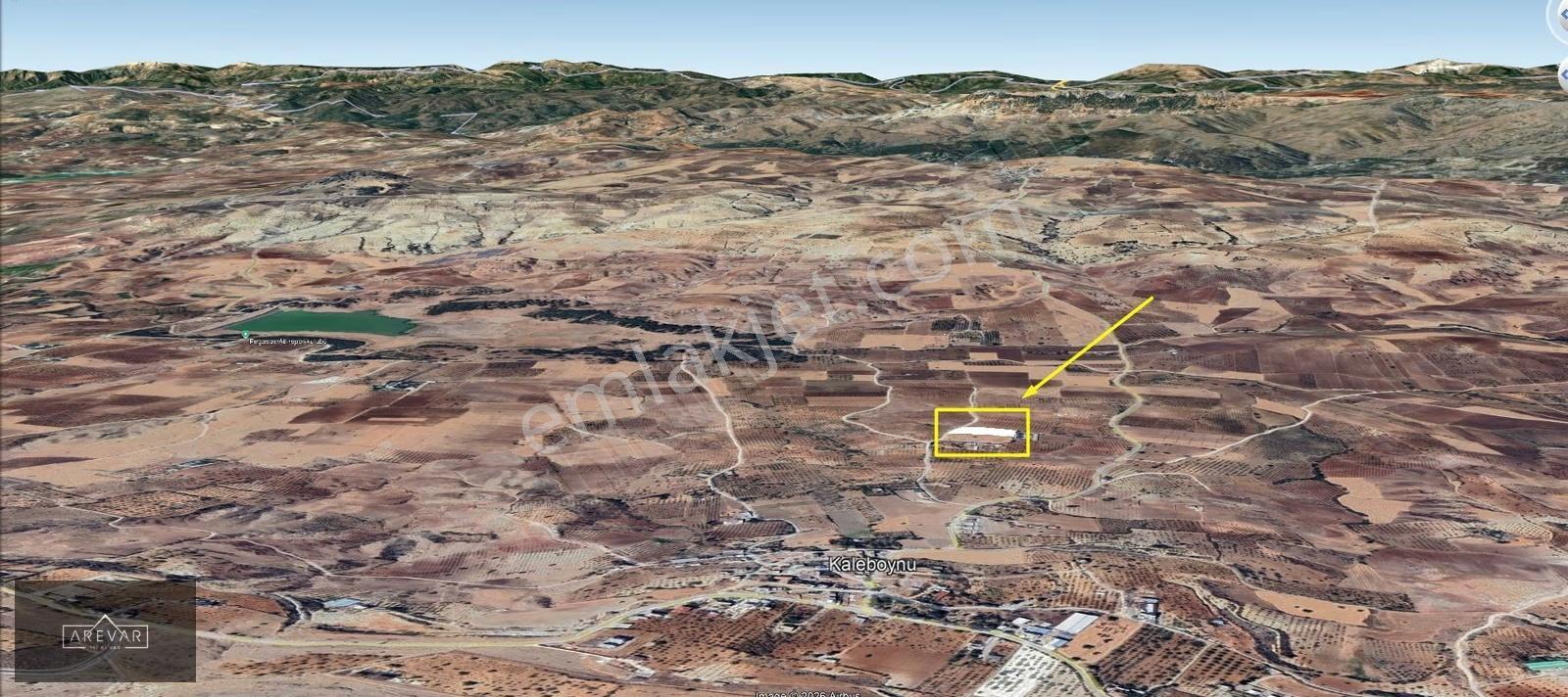 Kaleboynu'nda Satılık Gölet Manzaralı Zeytinli Arazi Yolu Var - Görsel 8