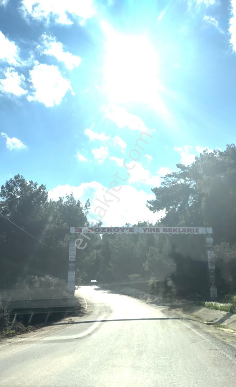 Demetten Torbalı Bozköyde Satılık Tarla Zeytinlik... - Görsel 3