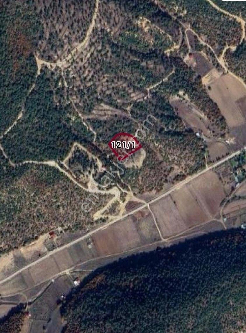 Bozüyük ' Satılık Köye 200 Metre Mesafe Kelepir Tarla - Görsel 2