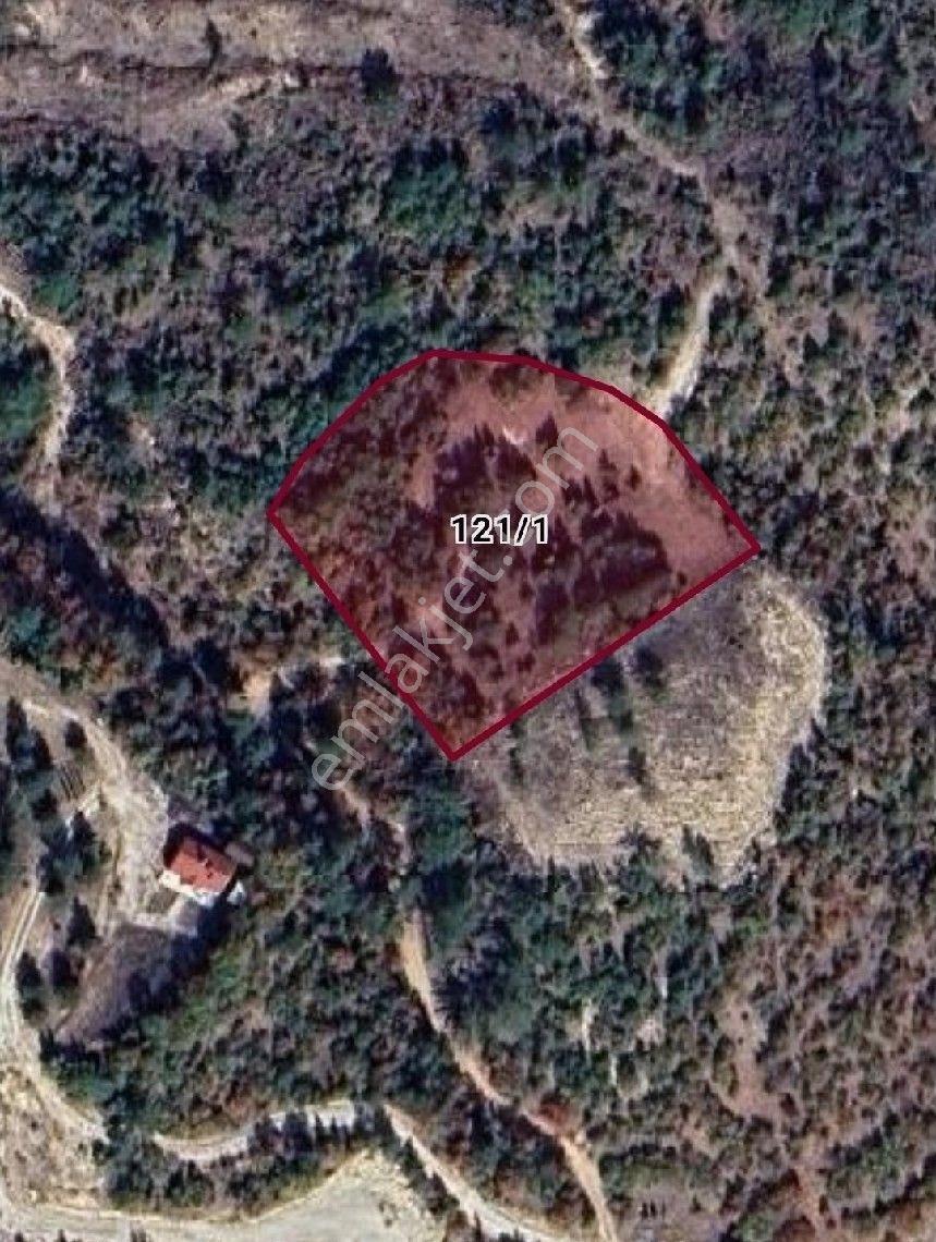 Bozüyük ' Satılık Köye 200 Metre Mesafe Kelepir Tarla