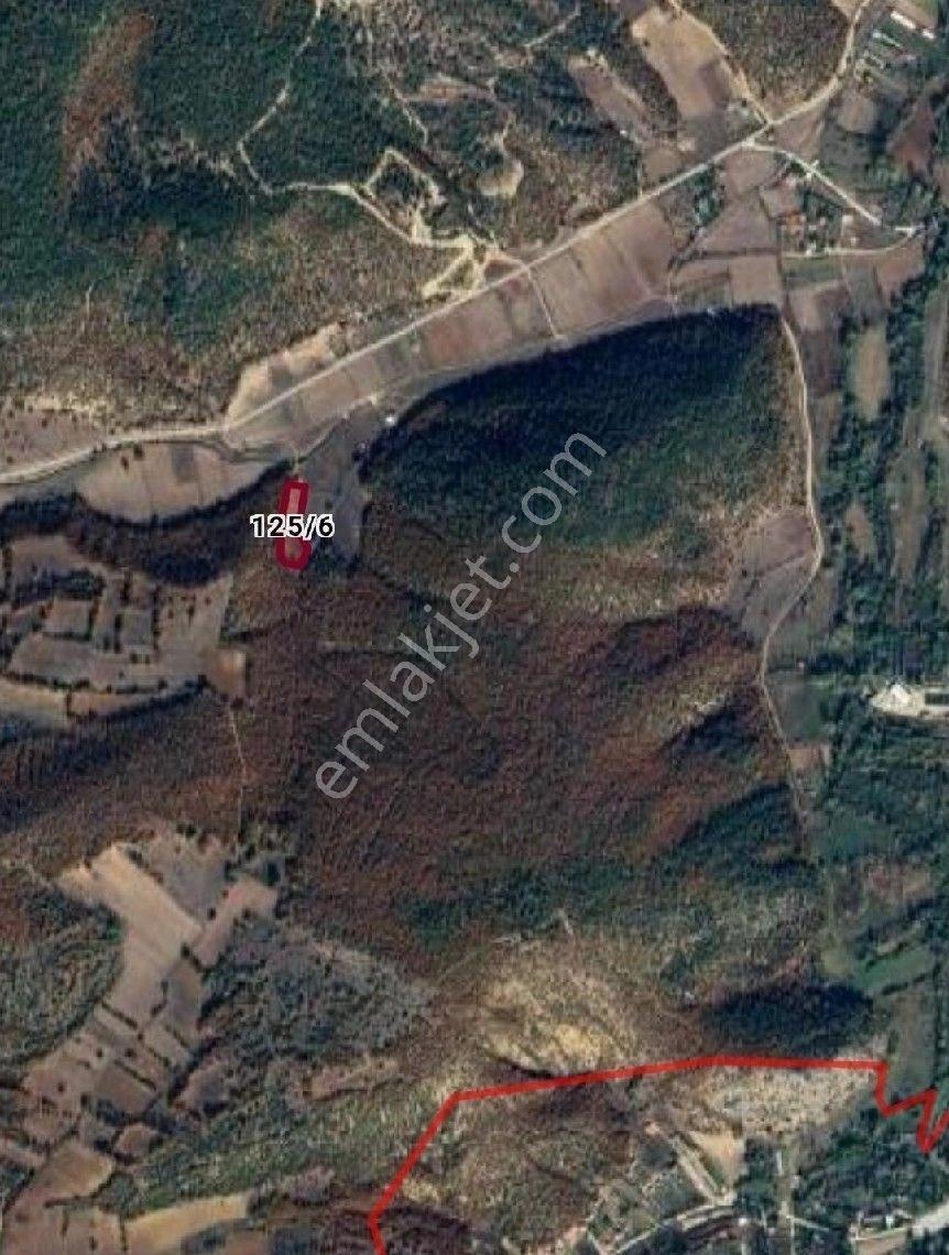 Bozüyük Çaydere'de Yatırımcıya Uygun Tarla - Görsel 4