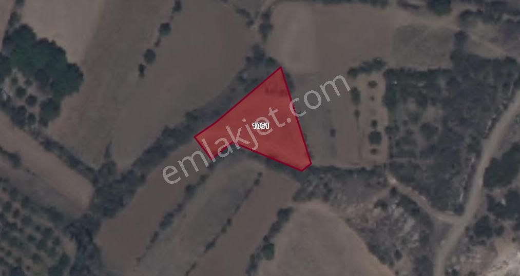 Burdur Yeşilova Çeltek Köyü Münayim Mevki Satılık Fırsat Tarla No.20601​ - Görsel 3