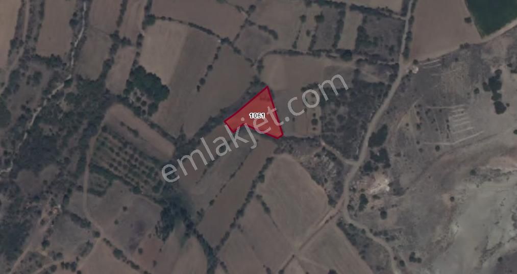Burdur Yeşilova Çeltek Köyü Münayim Mevki Satılık Fırsat Tarla No.20601​ - Görsel 2