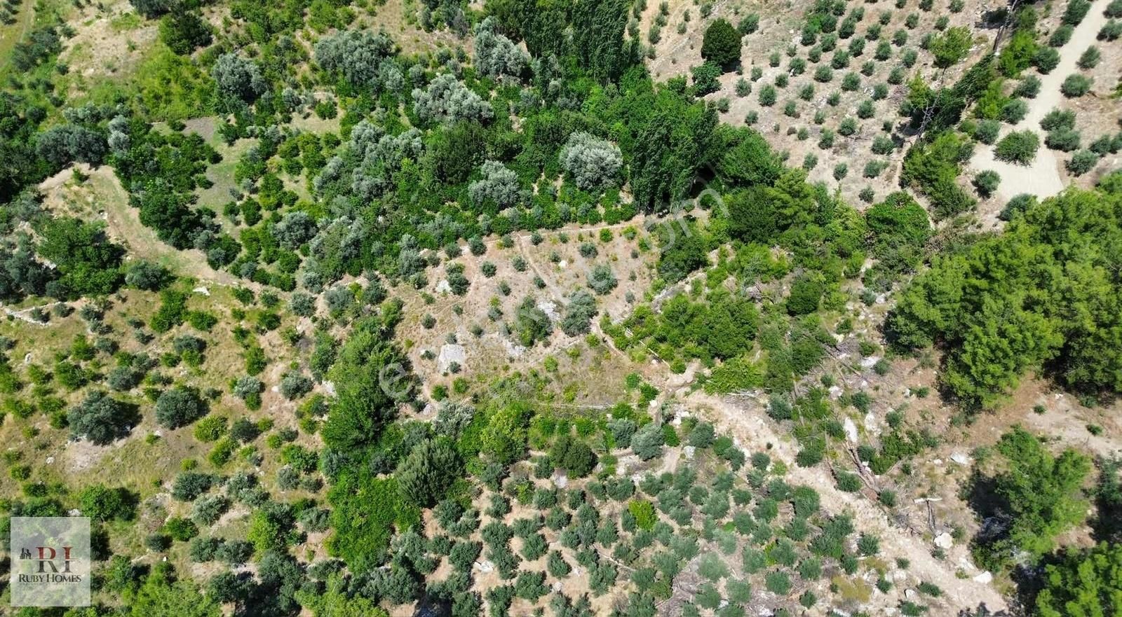 Seydikemer Örende Yatırımlık 1595m2 Arazi - Görsel 2