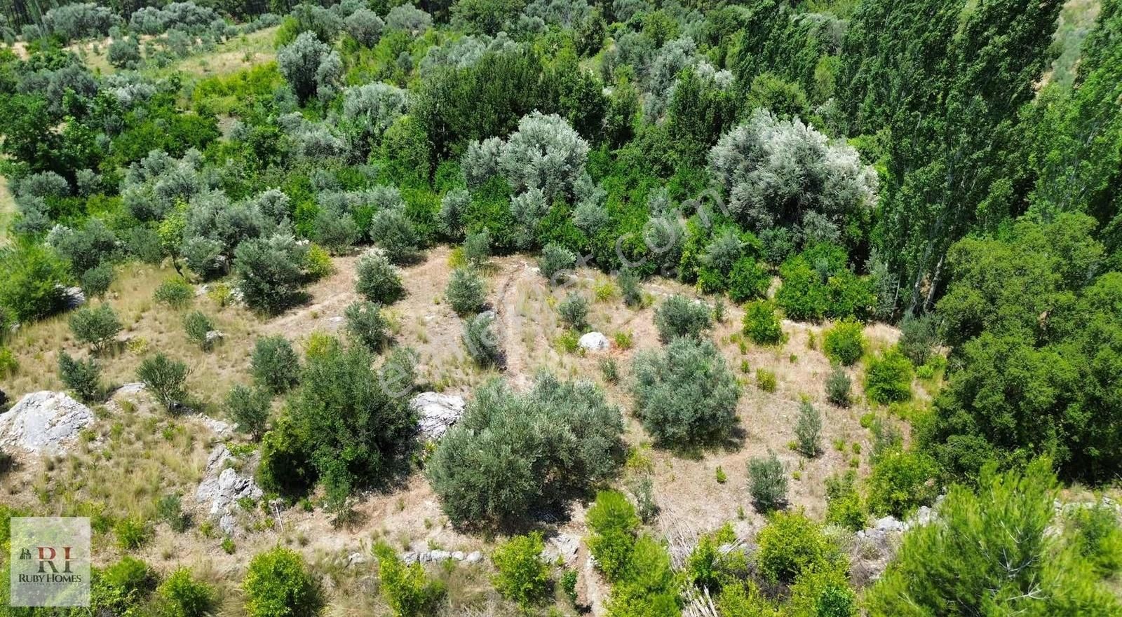 Seydikemer Örende Yatırımlık 1595m2 Arazi - Görsel 10