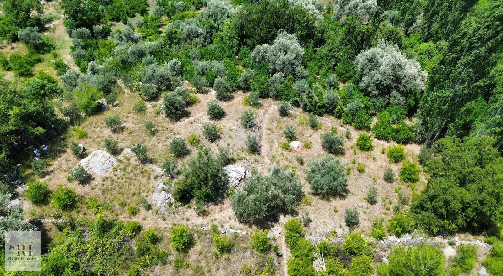 Seydikemer Örende Yatırımlık 1595m2 Arazi - Görsel 7