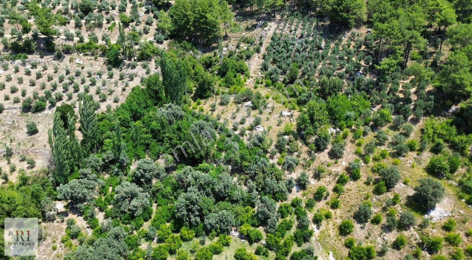 Seydikemer Örende Yatırımlık 1595m2 Arazi - Görsel 6