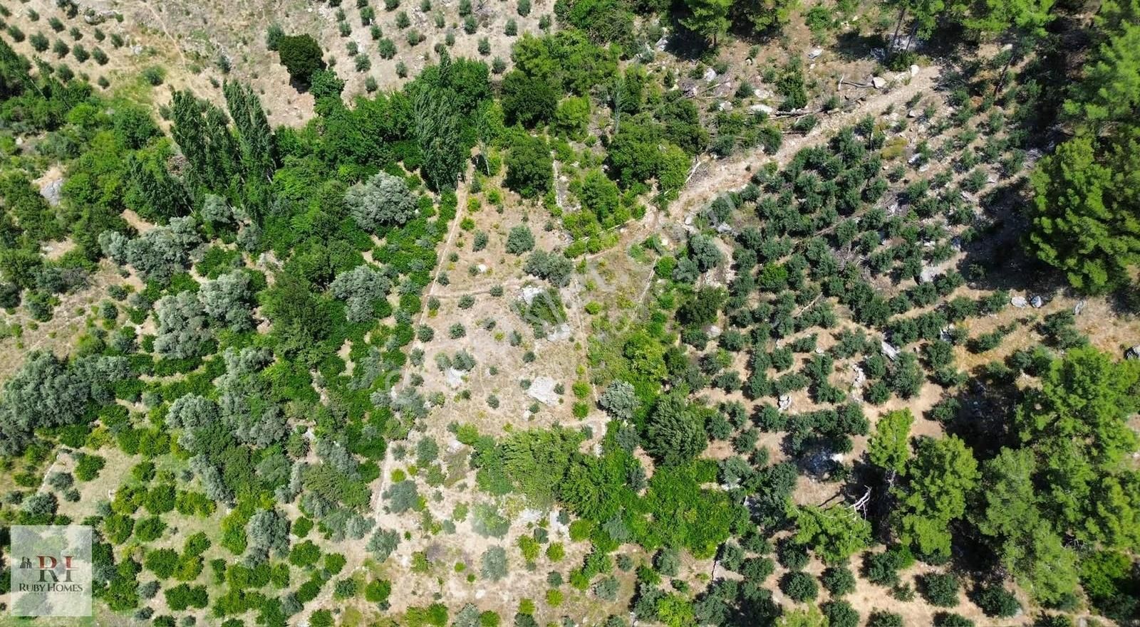 Seydikemer Örende Yatırımlık 1595m2 Arazi - Görsel 5