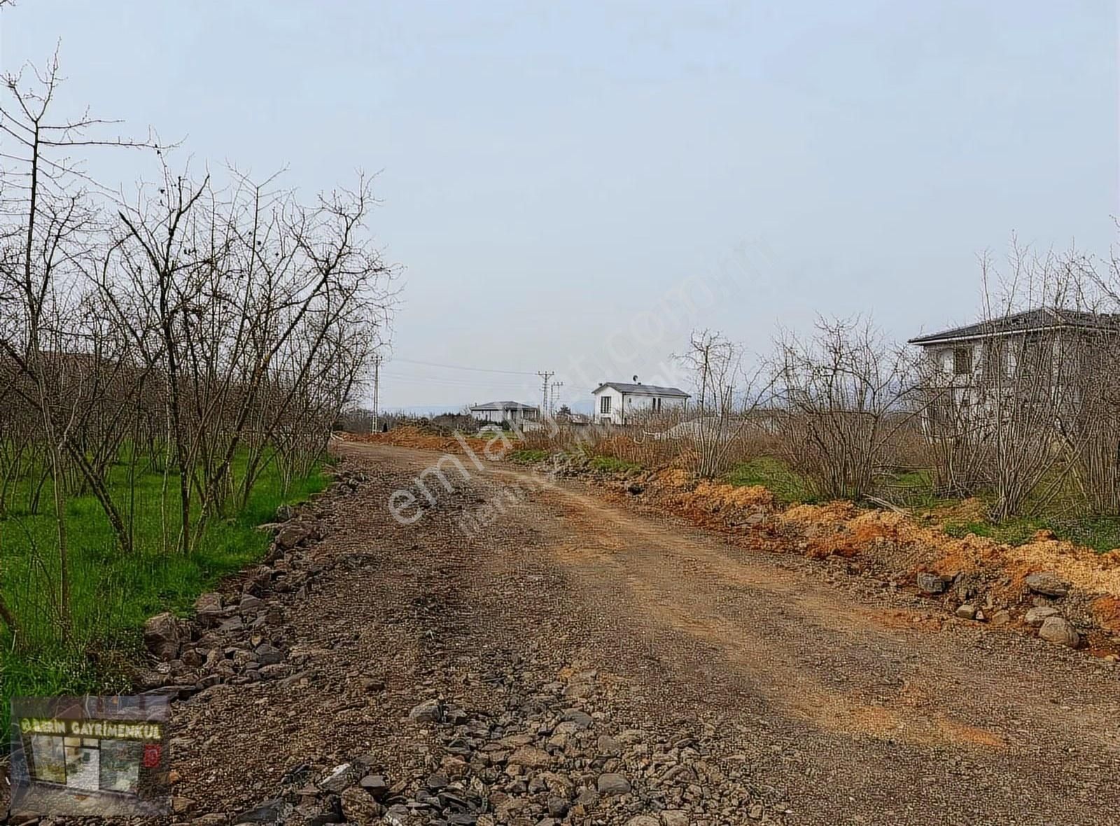 İlerin Gayrimenkul'den Mahmutbeyde Satılık Arsa - Görsel 8