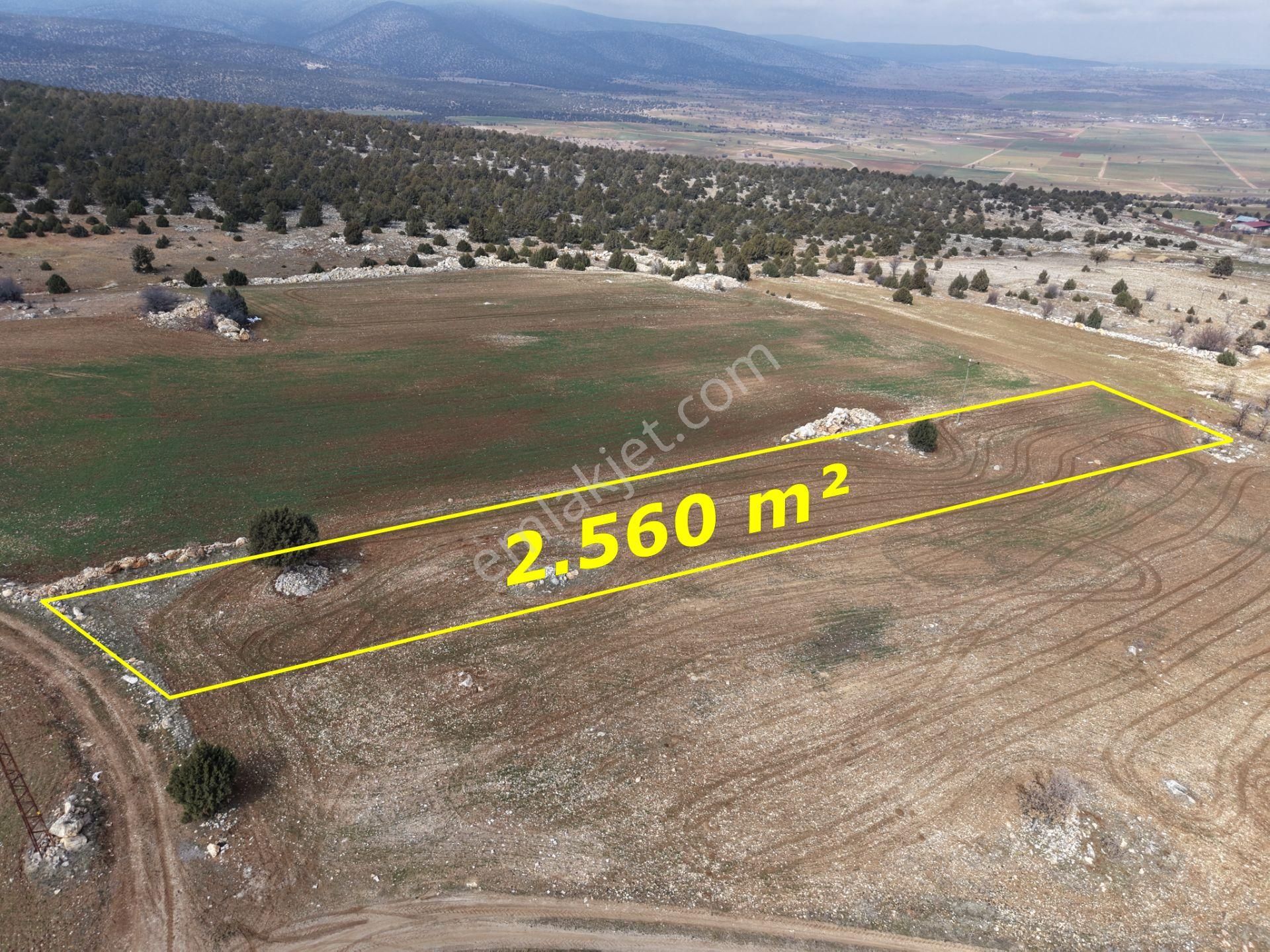 Akören Alan Mahallesinde 2.560 M² Müstakil Tapulu Tarla