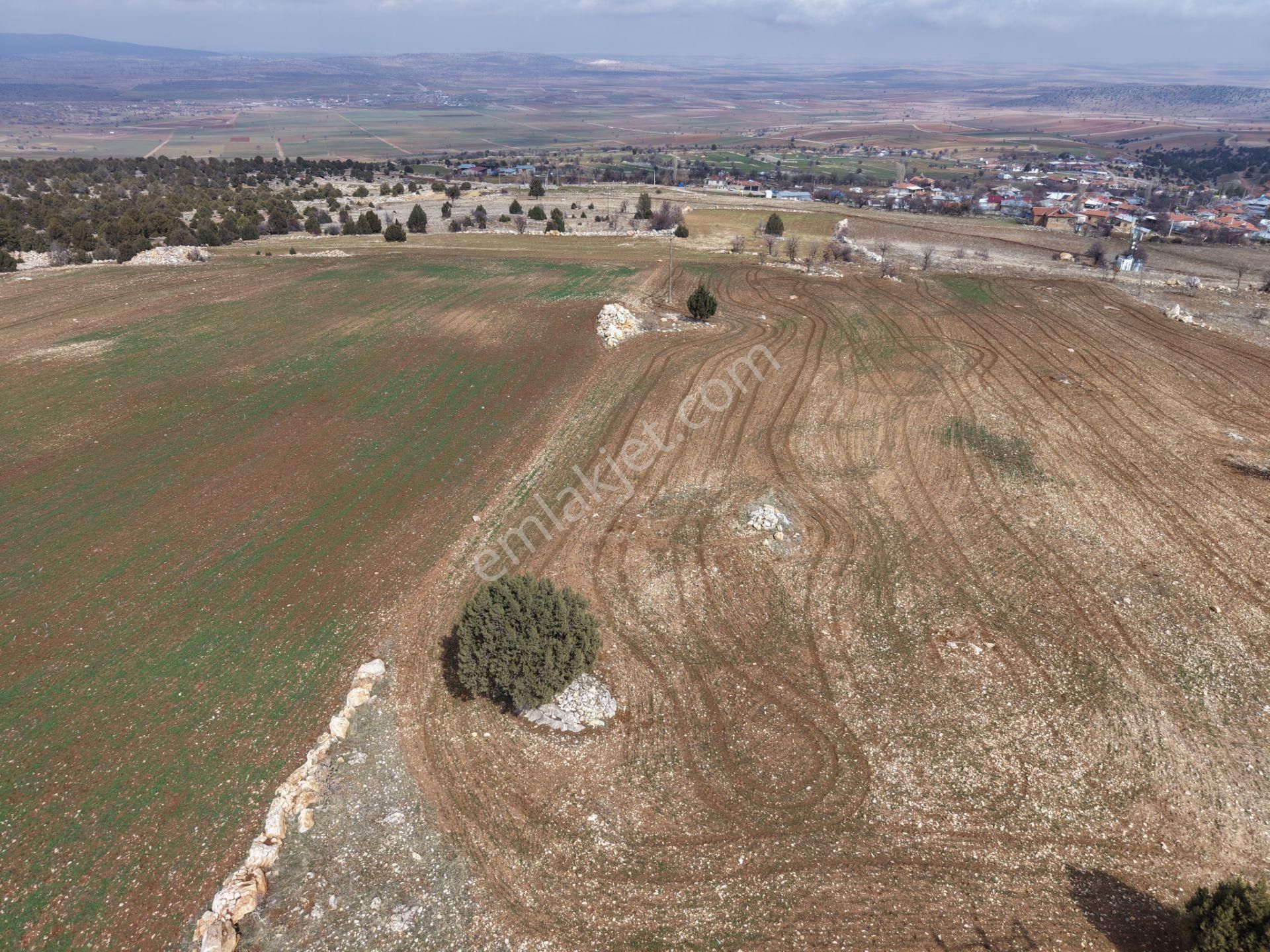 Akören Alan Mahallesinde 2.560 M² Müstakil Tapulu Tarla - Görsel 5