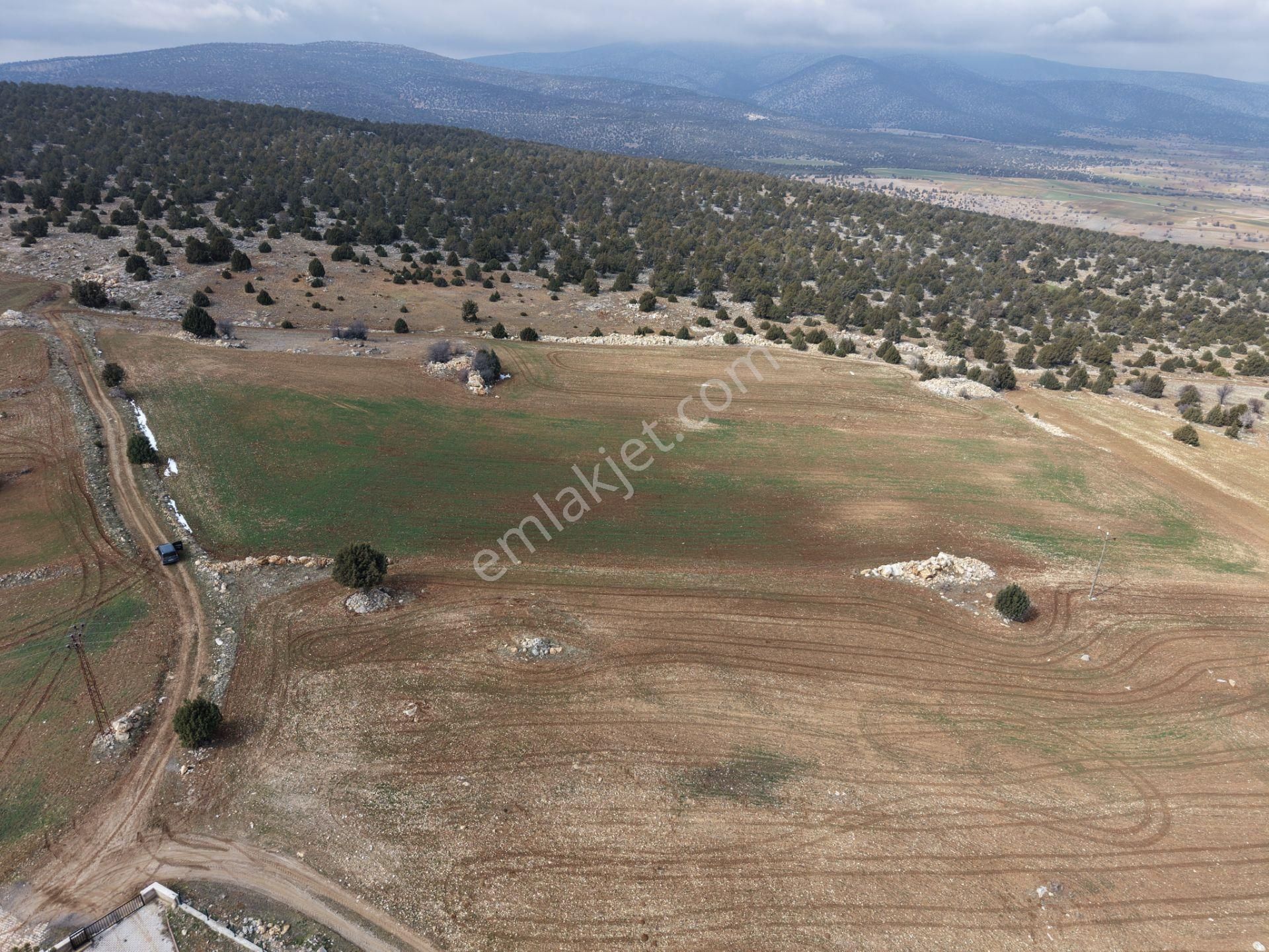 Akören Alan Mahallesinde 2.560 M² Müstakil Tapulu Tarla - Görsel 6