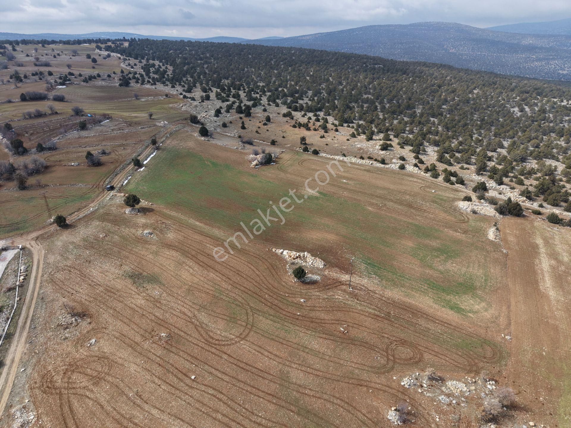 Akören Alan Mahallesinde 2.560 M² Müstakil Tapulu Tarla - Görsel 7