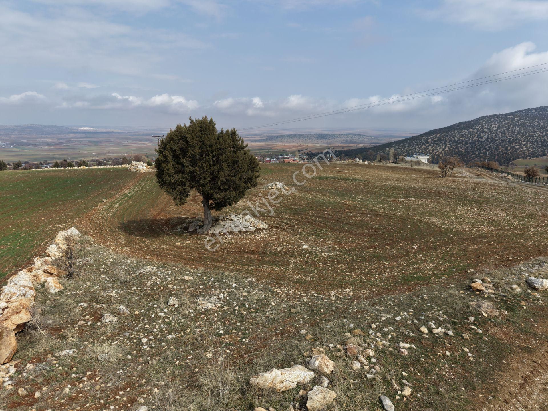 Akören Alan Mahallesinde 2.560 M² Müstakil Tapulu Tarla - Görsel 3