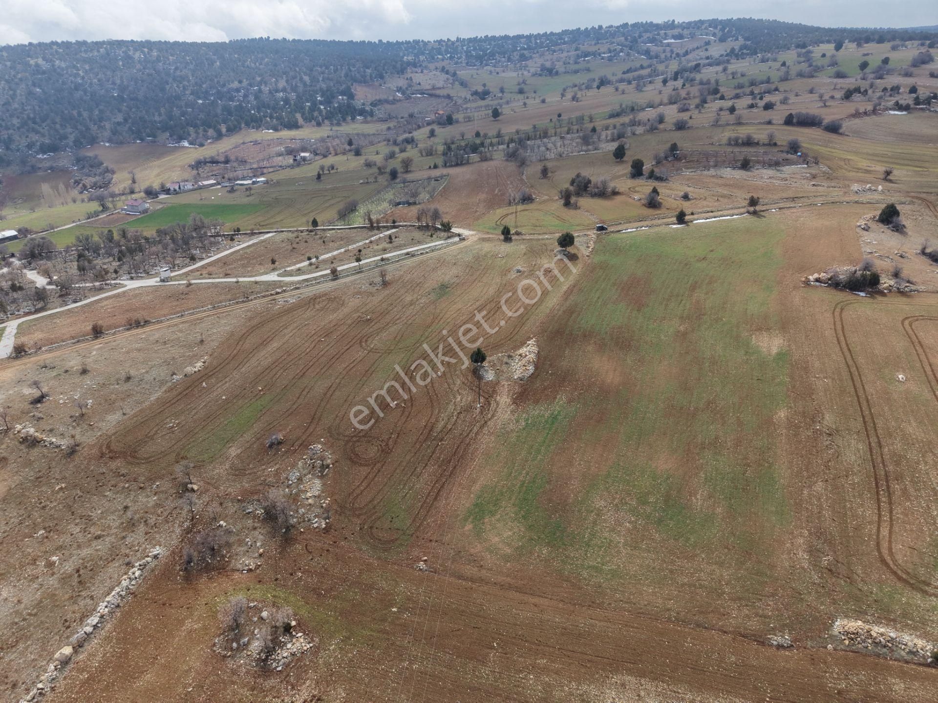 Akören Alan Mahallesinde 2.560 M² Müstakil Tapulu Tarla - Görsel 9