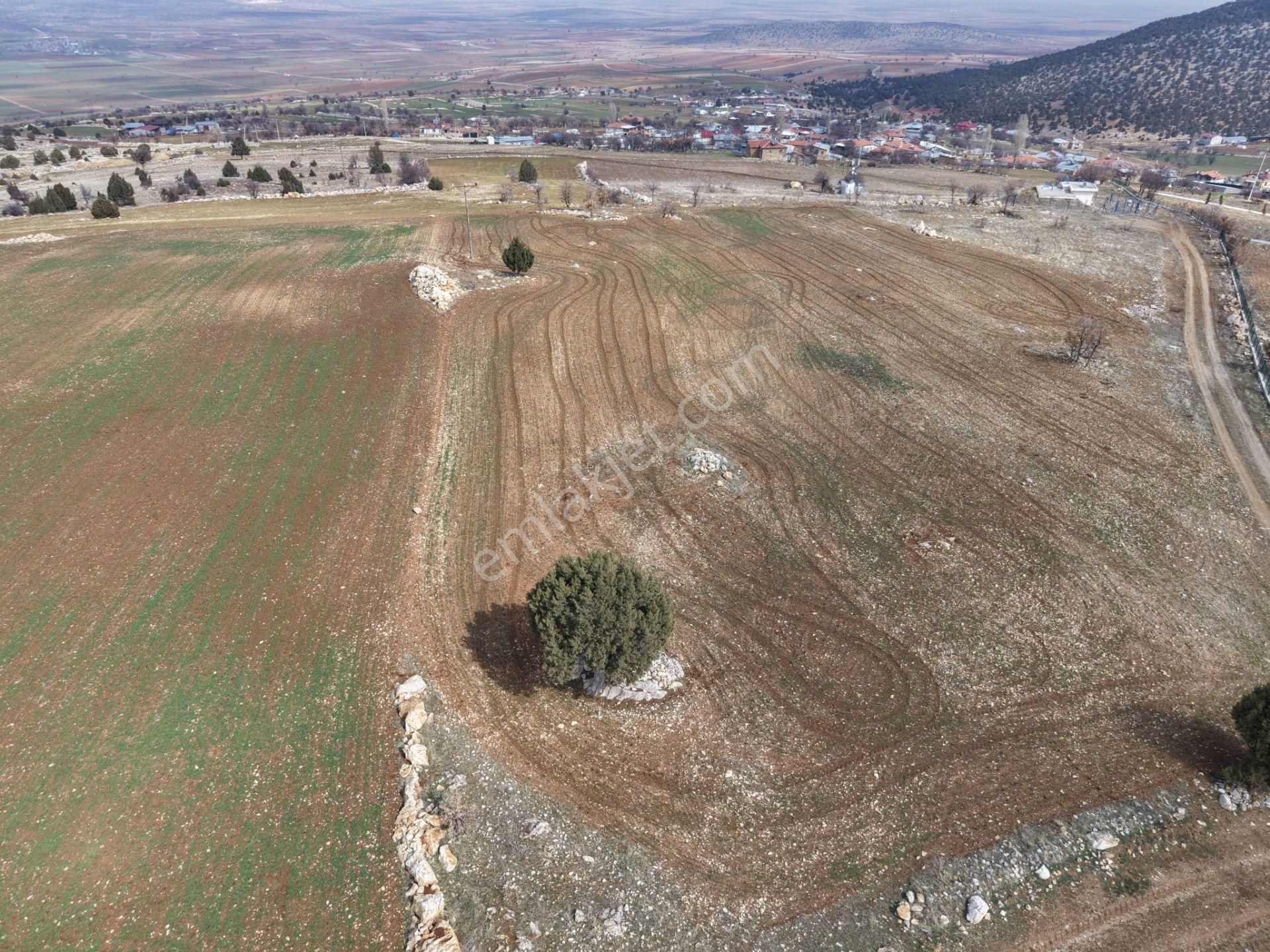 Akören Alan Mahallesinde 2.560 M² Müstakil Tapulu Tarla - Görsel 4