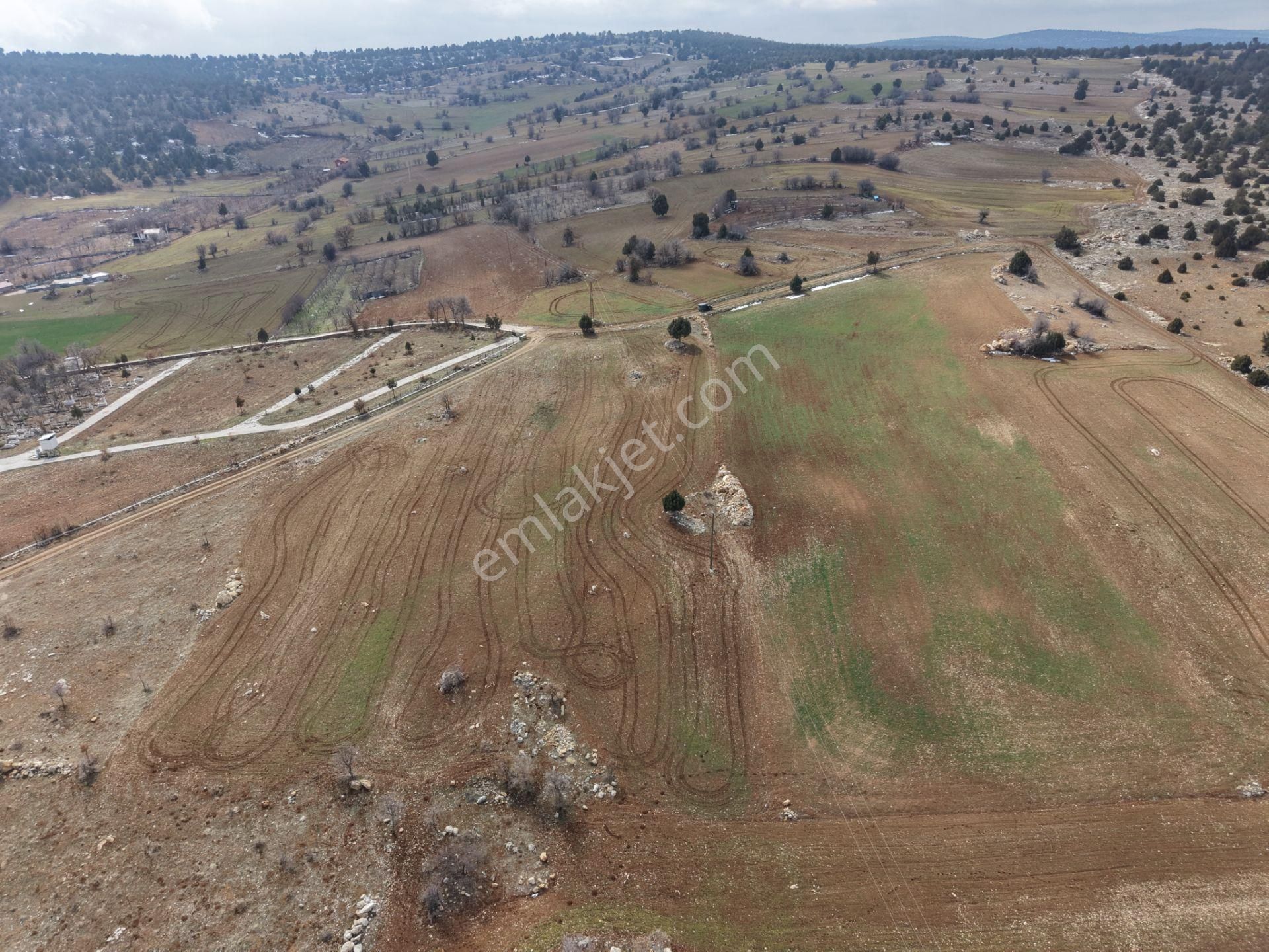 Akören Alan Mahallesinde 2.560 M² Müstakil Tapulu Tarla - Görsel 8