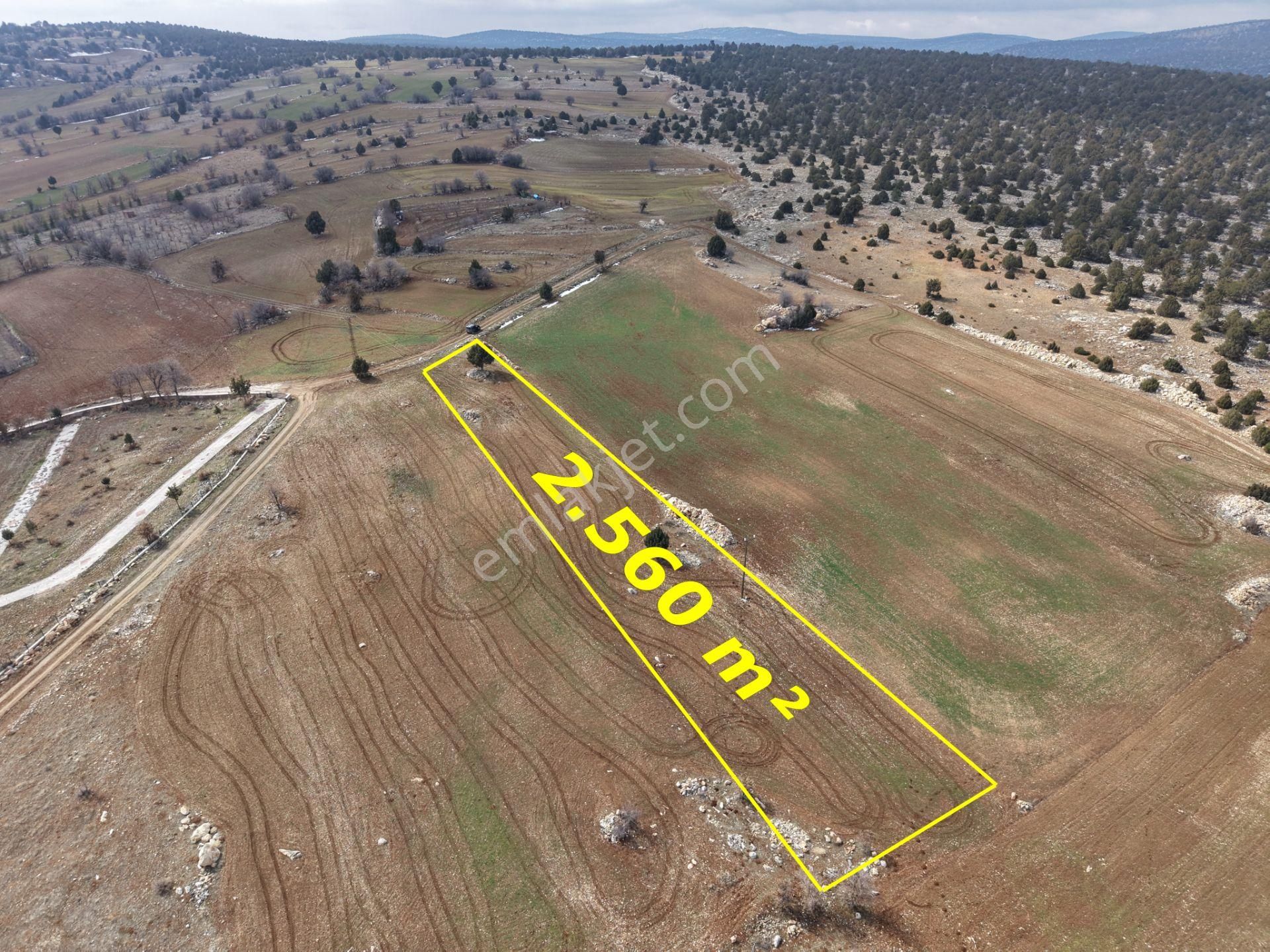 Akören Alan Mahallesinde 2.560 M² Müstakil Tapulu Tarla - Görsel 2