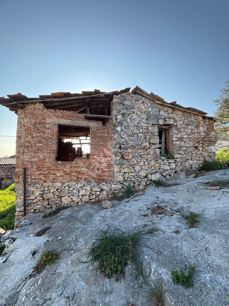 İzmir Selçuk Zeytinköyde Köy İçinde Satılık İmarlı Arsa - Görsel 12