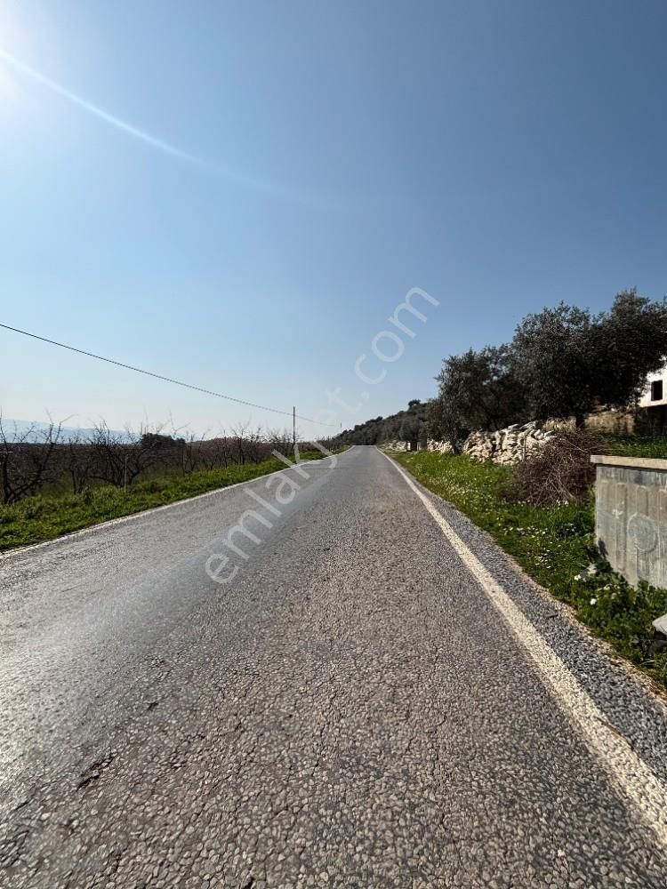 İzmir Selçuk Zeytinköyde Köy İçinde Satılık İmarlı Arsa - Görsel 11