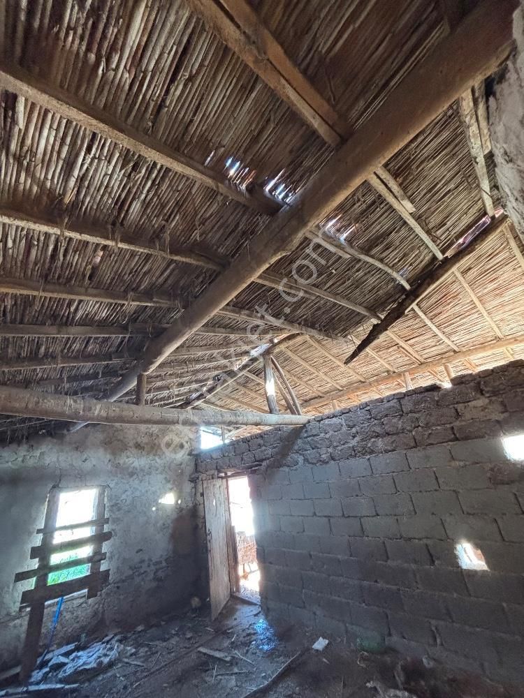 İzmir Selçuk Zeytinköyde Köy İçinde Satılık İmarlı Arsa - Görsel 15