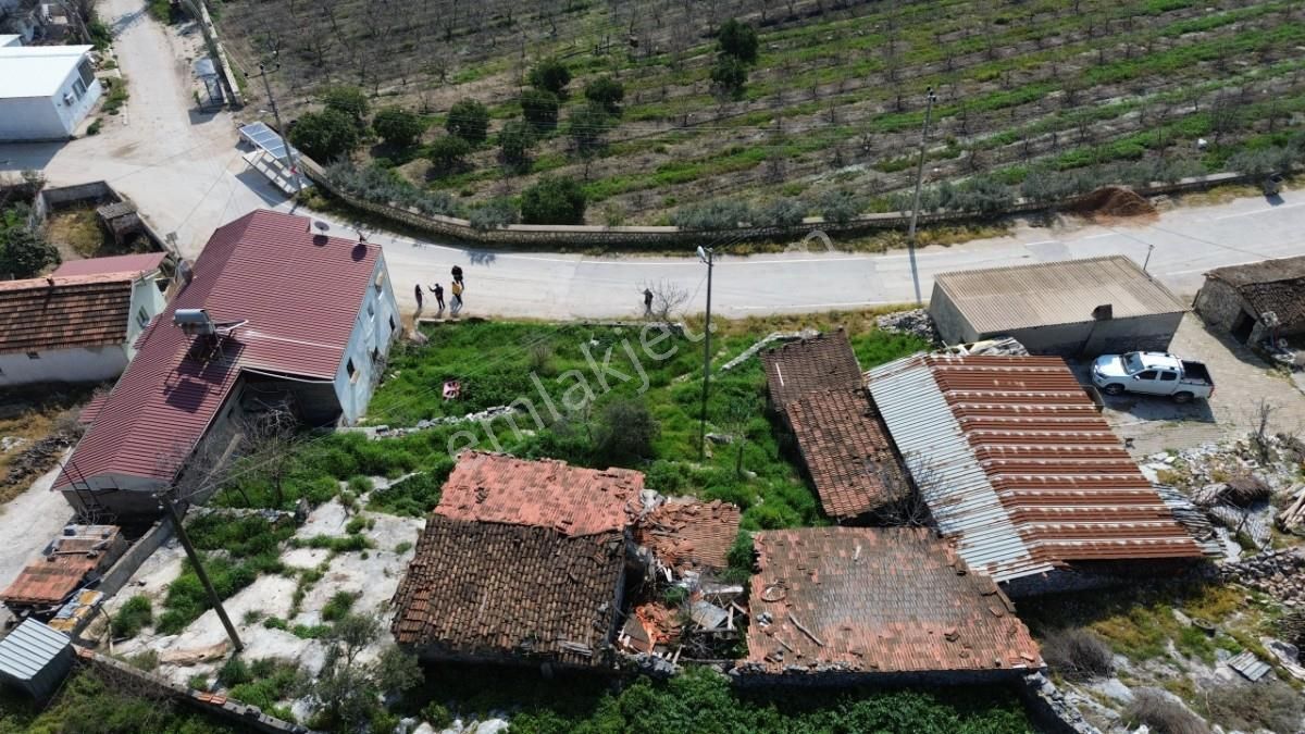 İzmir Selçuk Zeytinköyde Köy İçinde Satılık İmarlı Arsa - Görsel 9