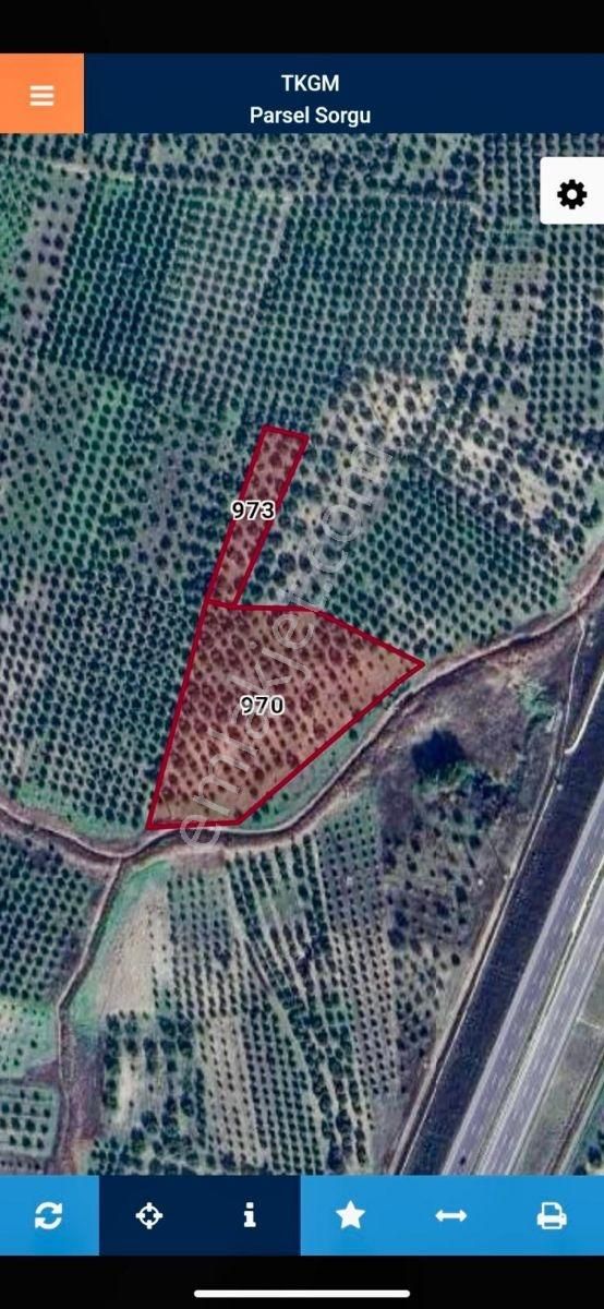 Vizyon Gayrimenkul'den