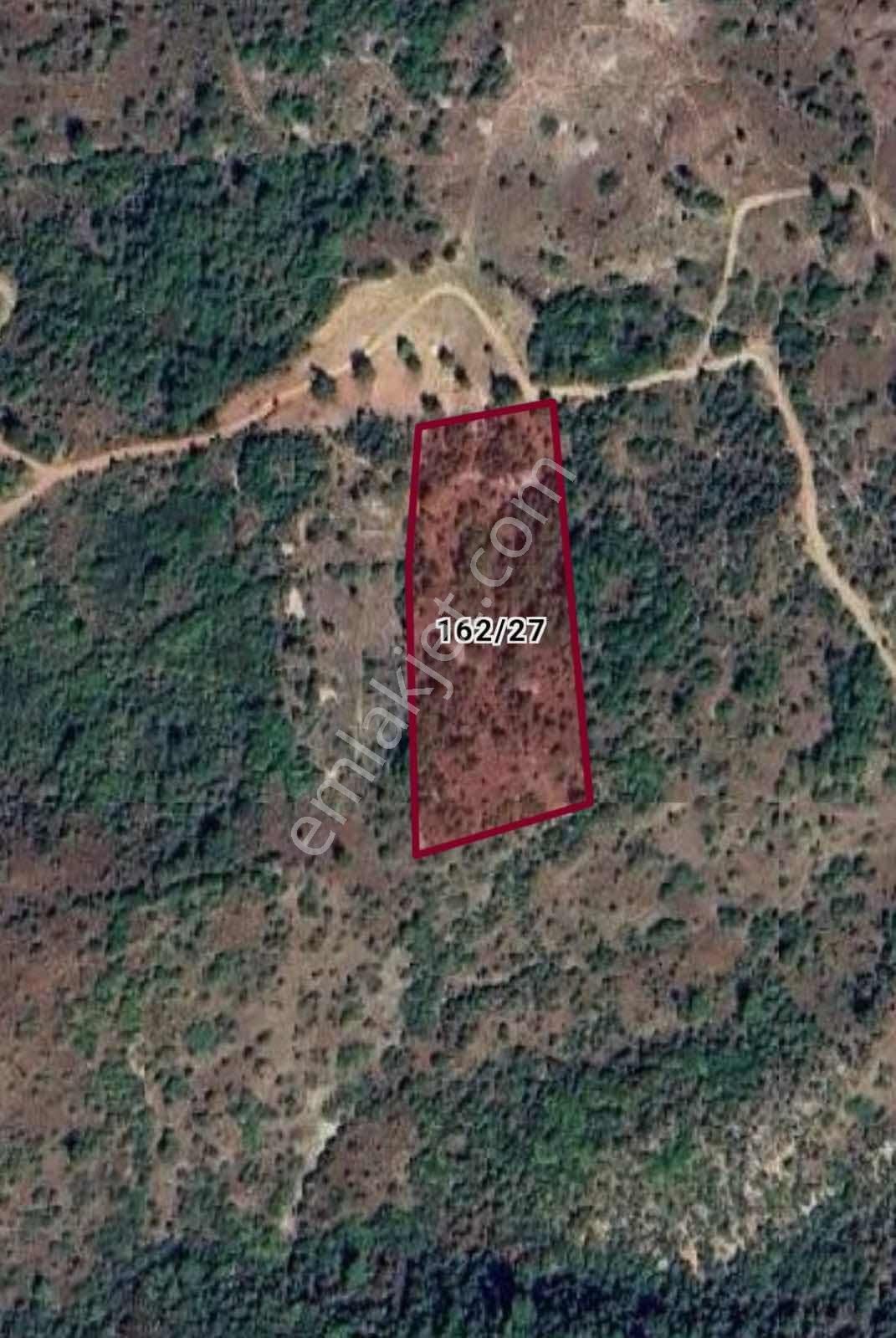 Fırsat!!! Bu Fiyata Bu Tarla Kaçmaz - Görsel 2