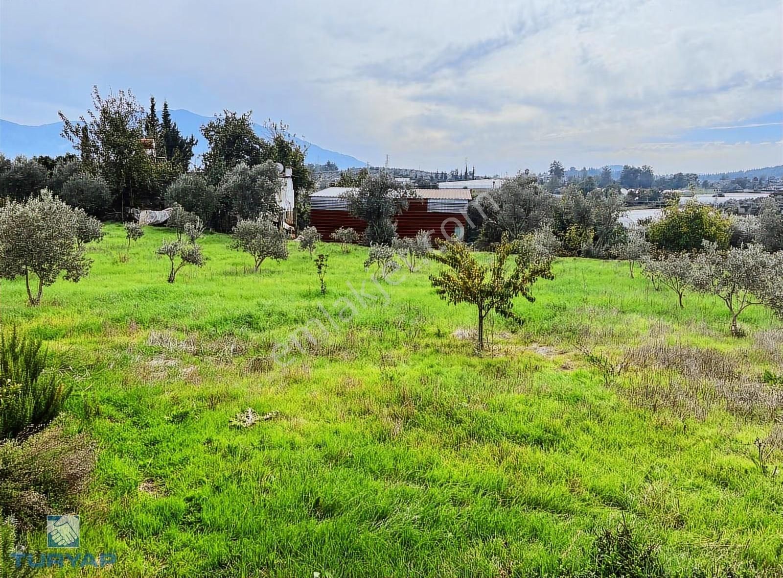 Fethiye Seydikemer Alaçat 18.948m2 İçinde Satılık 2 Müstakil Ev - Görsel 10