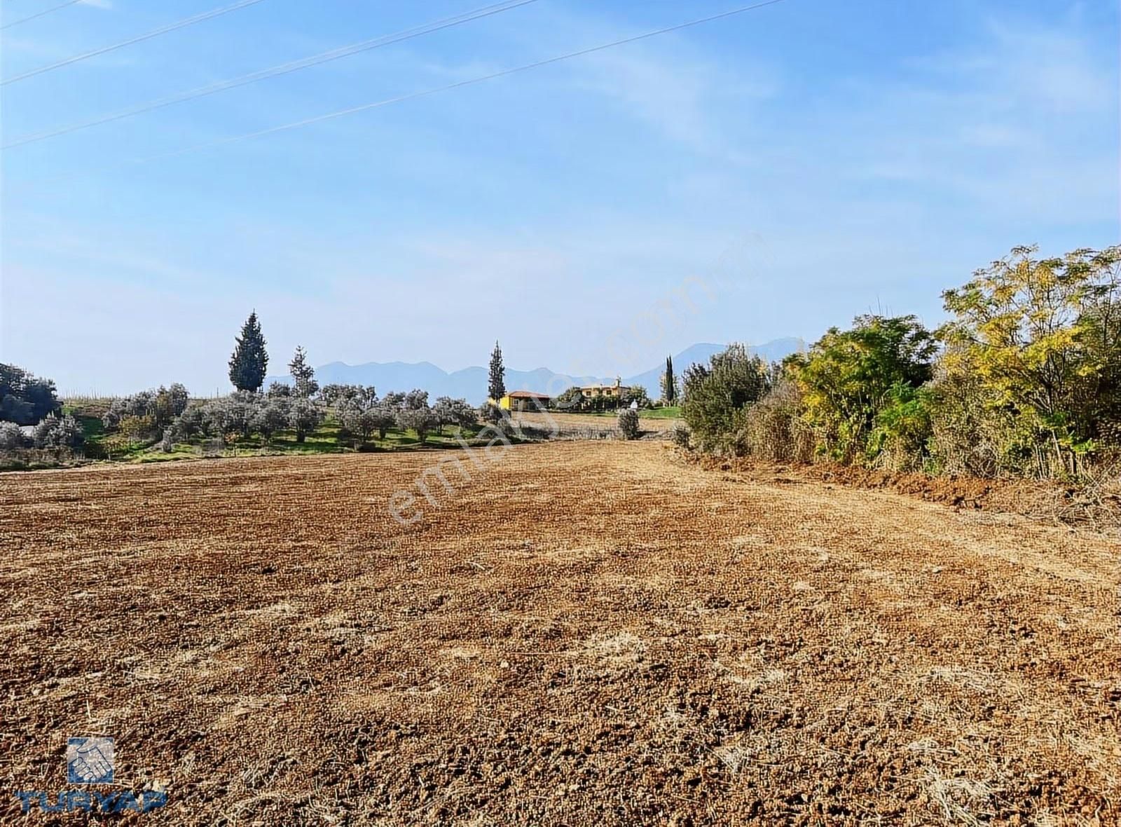 Fethiye Seydikemer Alaçat 18.948m2 İçinde Satılık 2 Müstakil Ev - Görsel 4