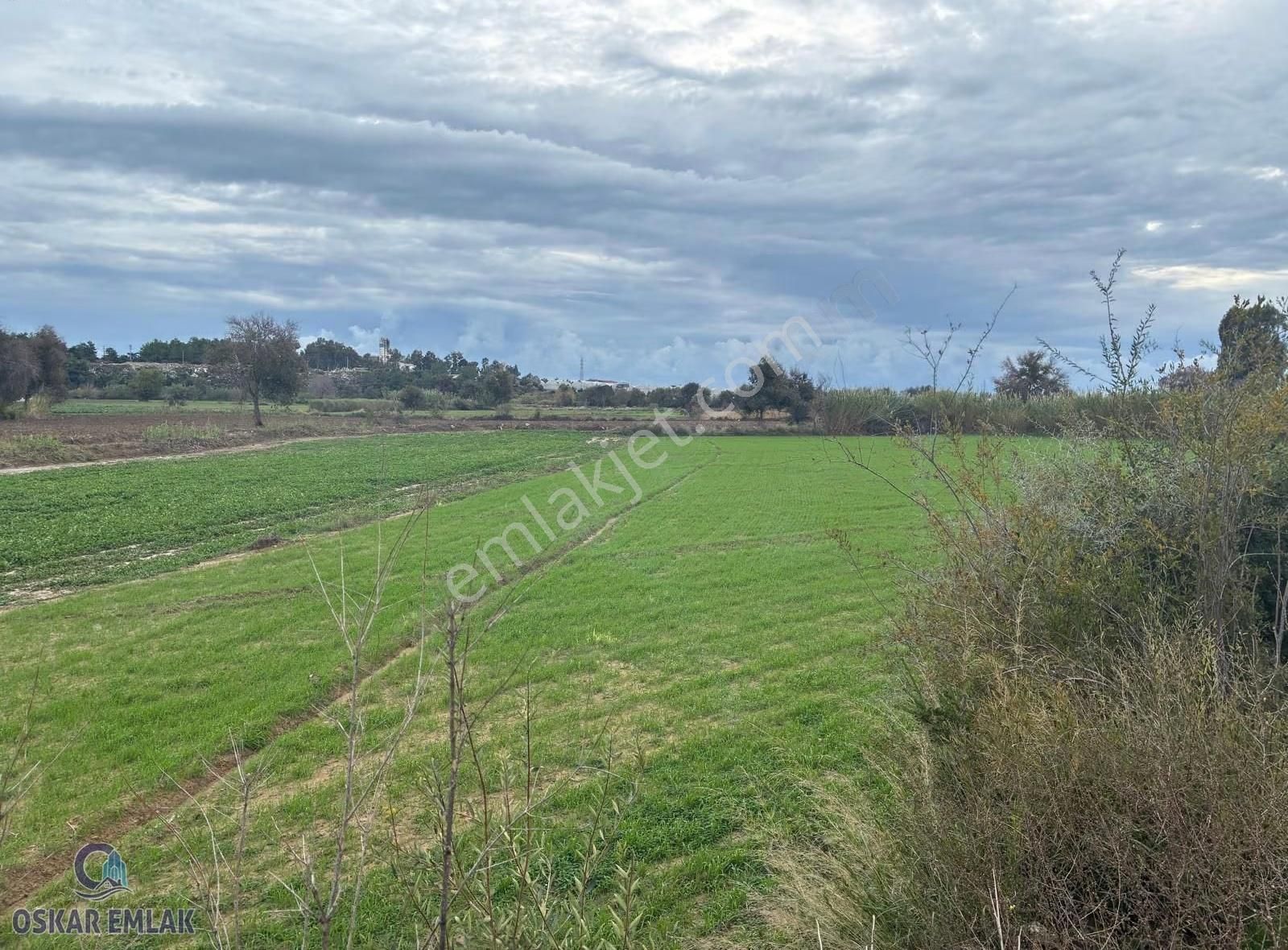 Manavgat Hacıali Köyünde Satılık Tarla - Görsel 2