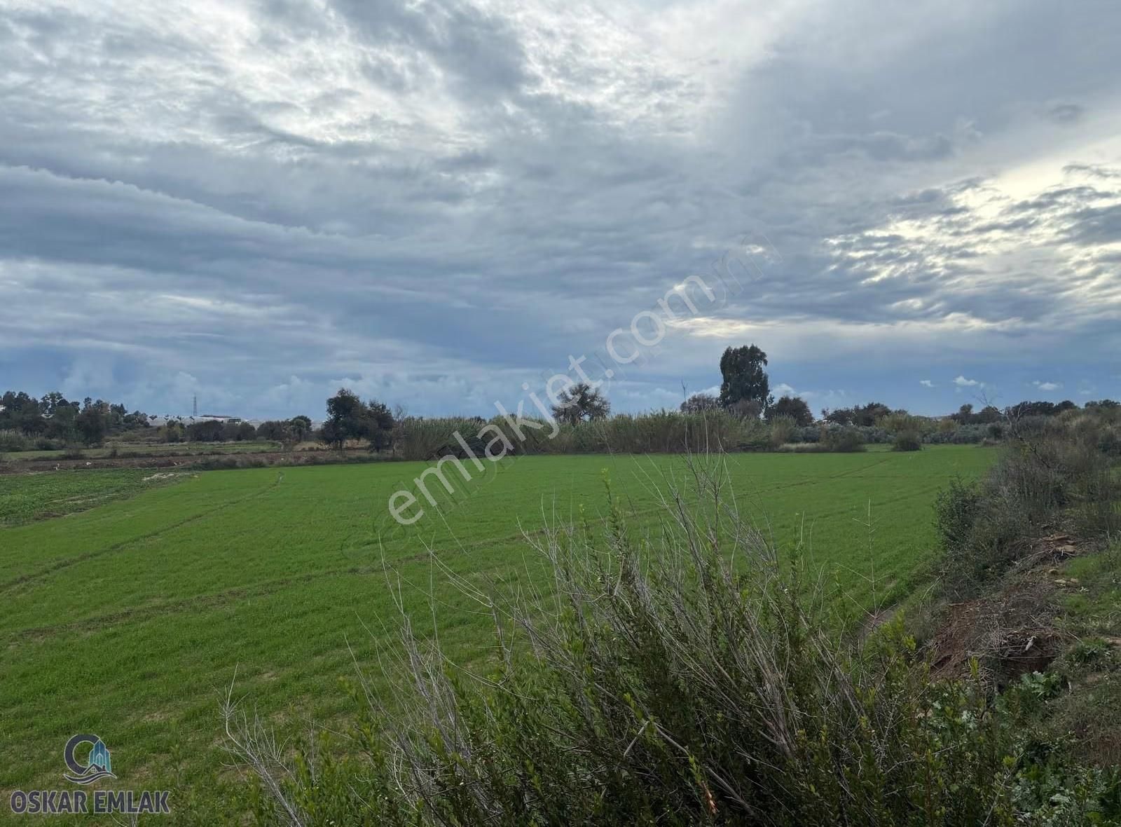 Manavgat Hacıali Köyünde Satılık Tarla - Görsel 6