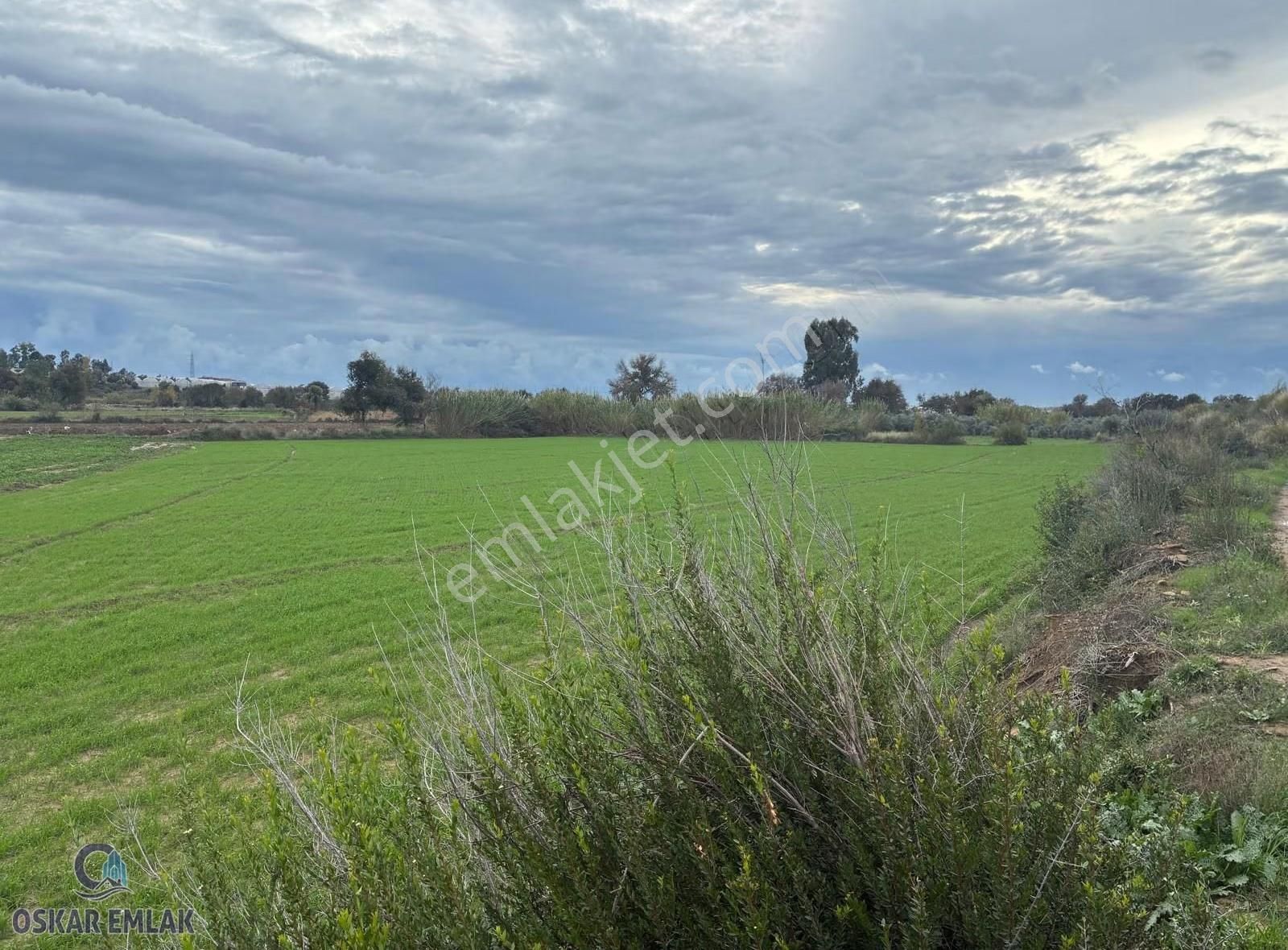 Manavgat Hacıali Köyünde Satılık Tarla - Görsel 8
