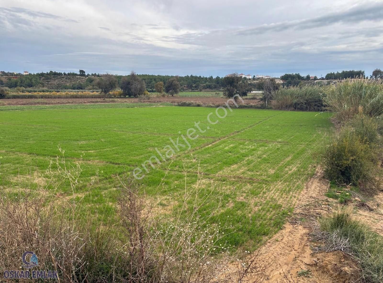 Manavgat Hacıali Köyünde Satılık Tarla - Görsel 4
