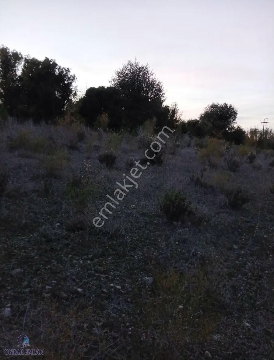 Manavgat Çolaklı Da Satılık Tarla - Görsel 4