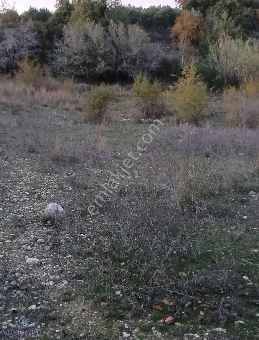 Manavgat Çolaklı Da Satılık Tarla