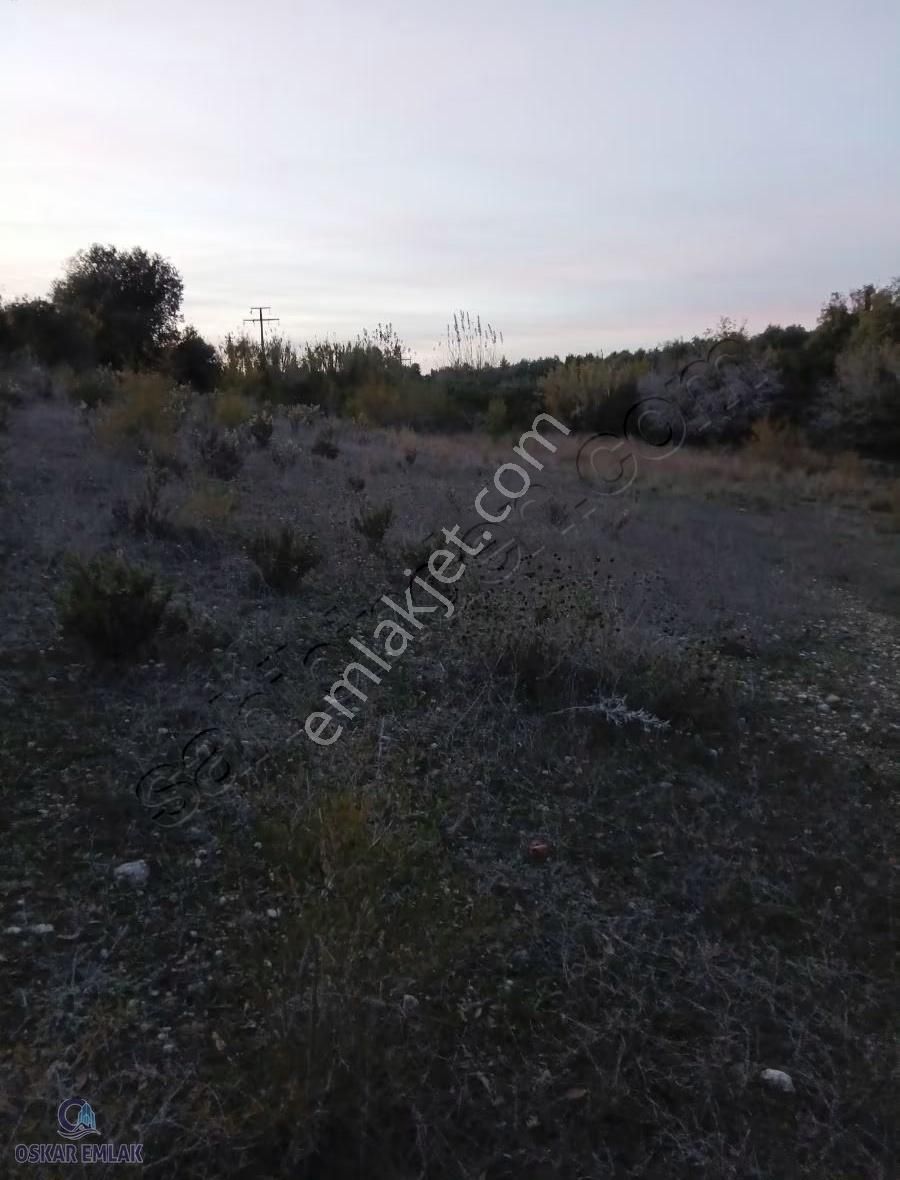 Manavgat Çolaklı Da Satılık Tarla - Görsel 2