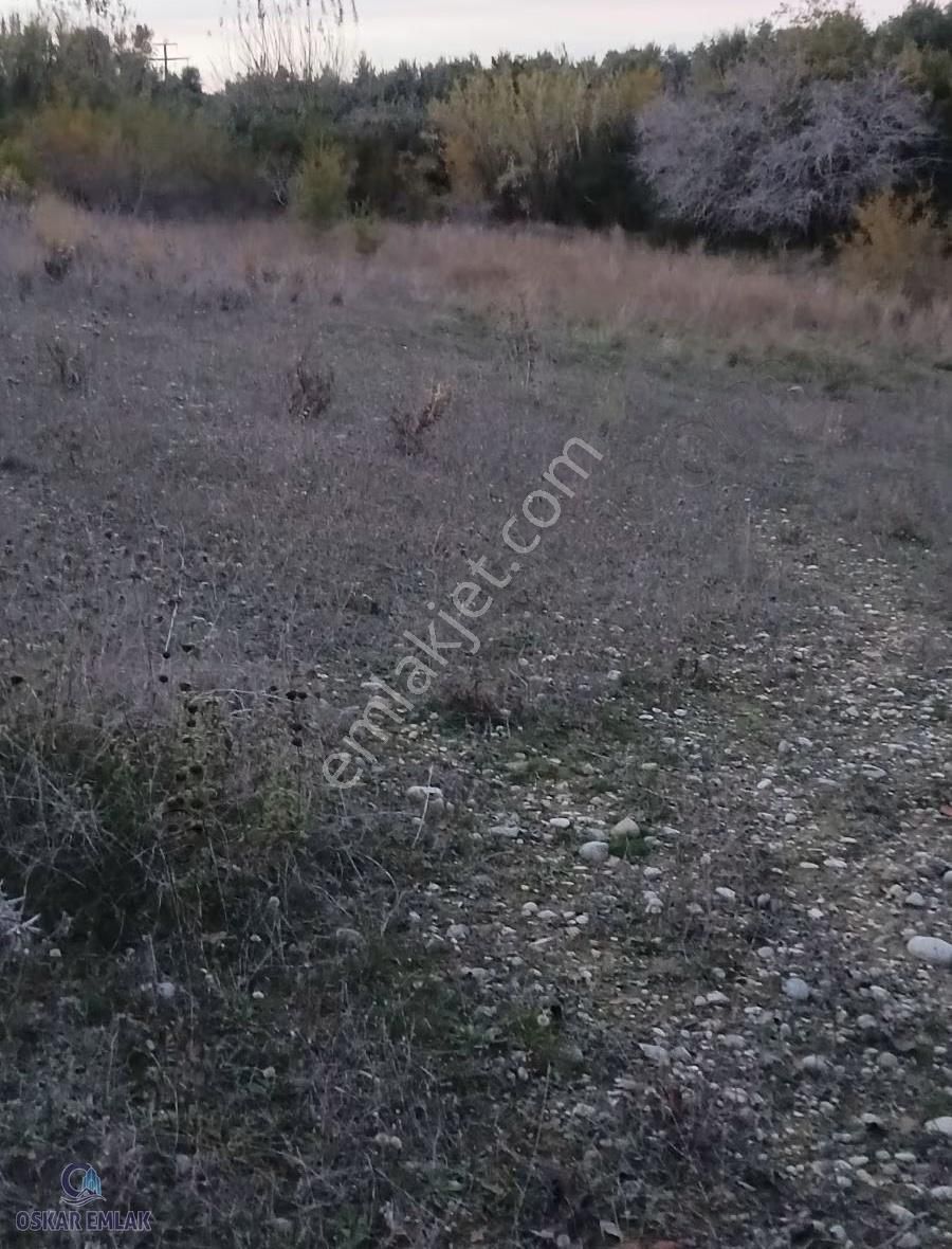 Manavgat Çolaklı Da Satılık Tarla - Görsel 5