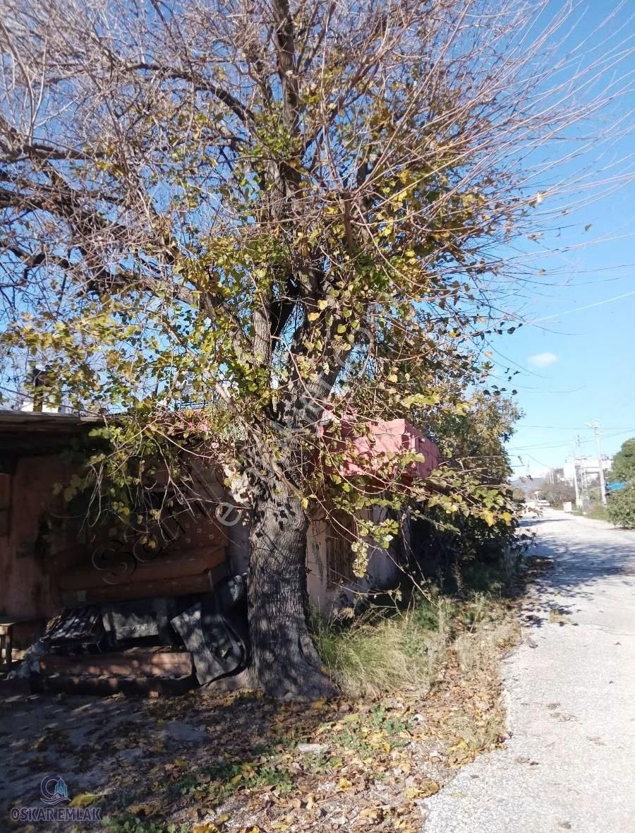 Manavgat Çolaklı Mahallesinde 448 M2 Arsa - Görsel 4